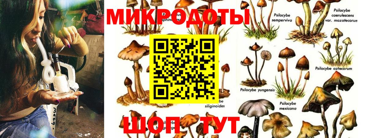 Галлюциногенные грибы MAGIC MUSHROOMS Лабытнанги